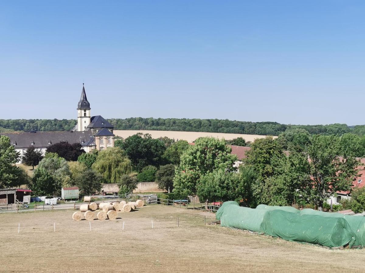 Ferienwohnung Alpakahof Гослар Экстерьер фото
